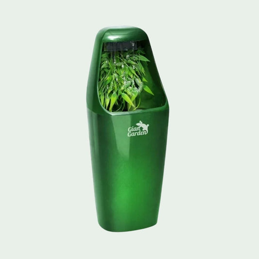 Fontaine à Eau Automatique | 800ml Double Filtration