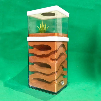 Fourmilière Plâtre Naturel | 10x8x23cm Zone Sèche et Humide