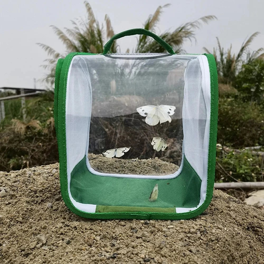 green Habitat d'araignée sautante en plastique transparent, pliable, léger et pratique, boîte d'élevage d'araignées, petite Cage à insectes, Cage à papillons