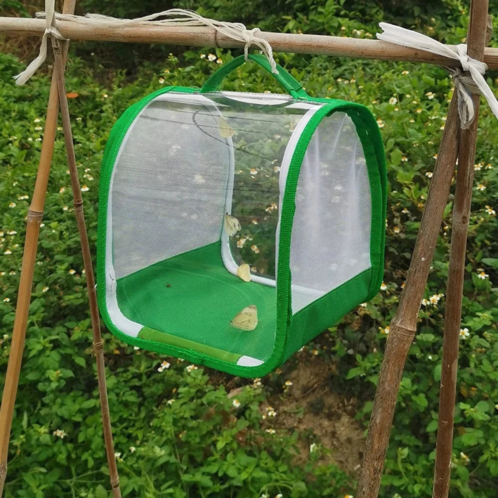 green Habitat d'araignée sautante en plastique transparent, pliable, léger et pratique, boîte d'élevage d'araignées, petite Cage à insectes, Cage à papillons