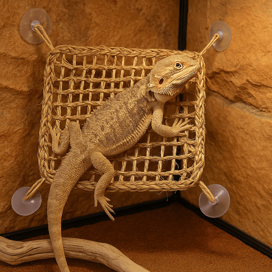 Hamac Reptile Carré | Reptiles Grimpeurs et Lézards