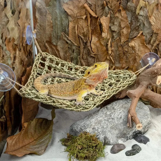 Hamac Reptile Naturel | Pour Reptiles Grimpeurs et Lézards