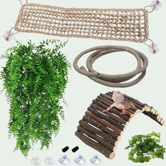 Kit Accessoire Terrarium | pour Petit Reptile et Amphibien