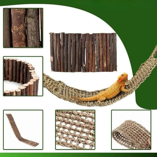 Kit Accessoire Terrarium | pour Petit Reptile et Amphibien