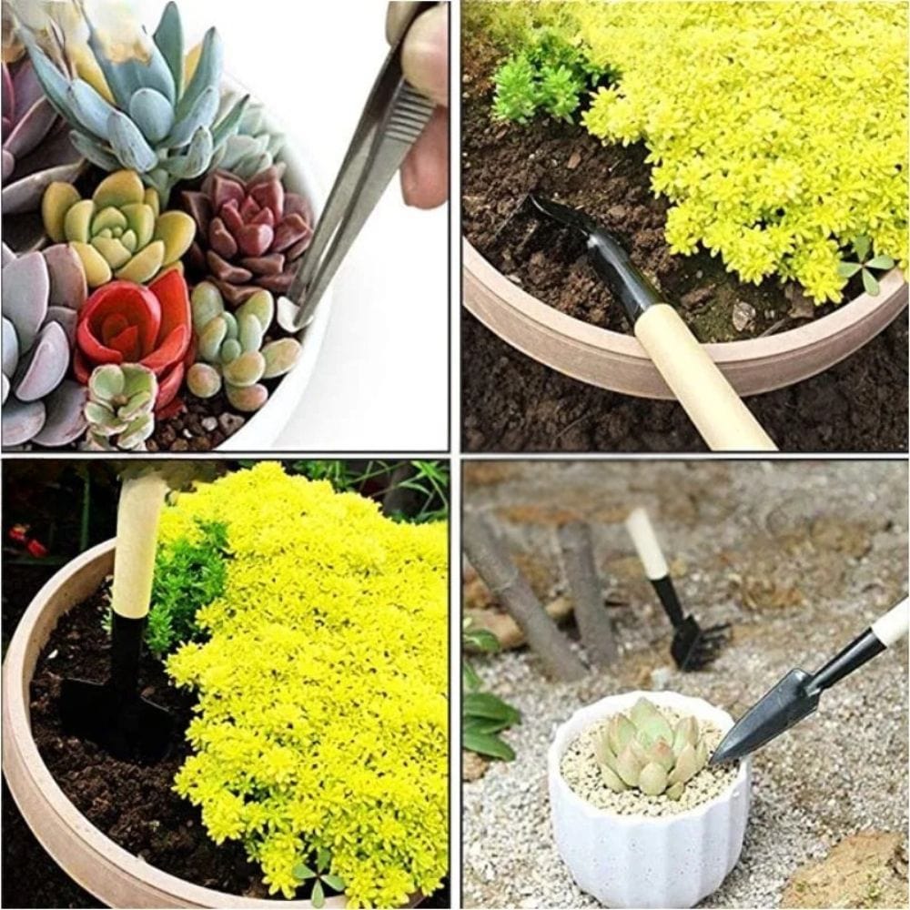 Kit Outils Mini Jardin 13 Pièces | Pour Entretien Terrarium