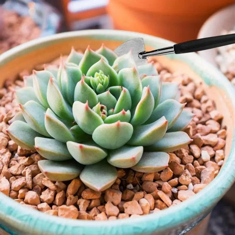 Kit Outils Terrarium 16 Pièces | Pour Jardinage Intérieur