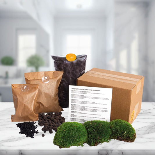 Kit Terrarium | Substrat et Mousse