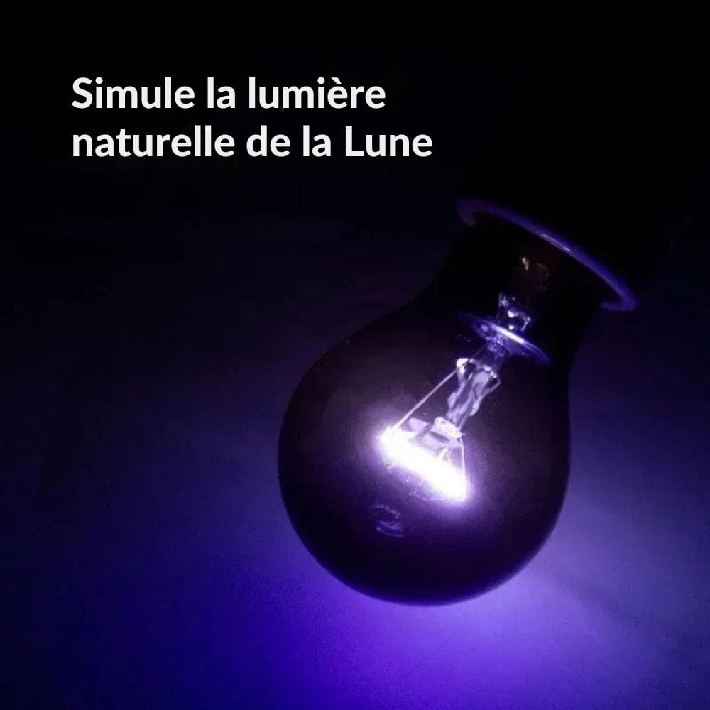 Lampe Chauffante | UVB/UVA Reptile 35W