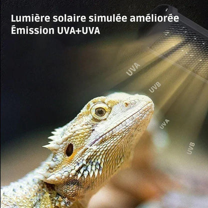 Lampe UVB/UVA 20.0 plate Lampe UVB/UVA 20.0 plate | Pour reptiles à fort UVB/UVA