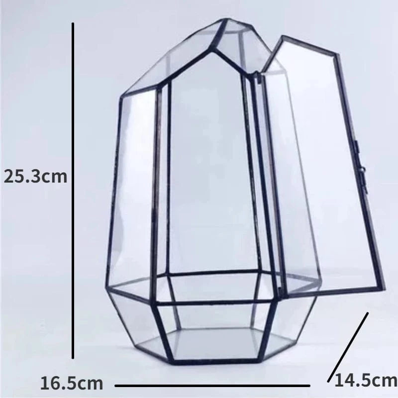 A Micro Landscape Planter Moss Rainforest Tank Geometric Glass Flower Room Irregular Ecological Vase Succulent Water Plant Vase