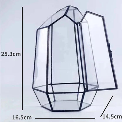 A Micro Landscape Planter Moss Rainforest Tank Geometric Glass Flower Room Irregular Ecological Vase Succulent Water Plant Vase