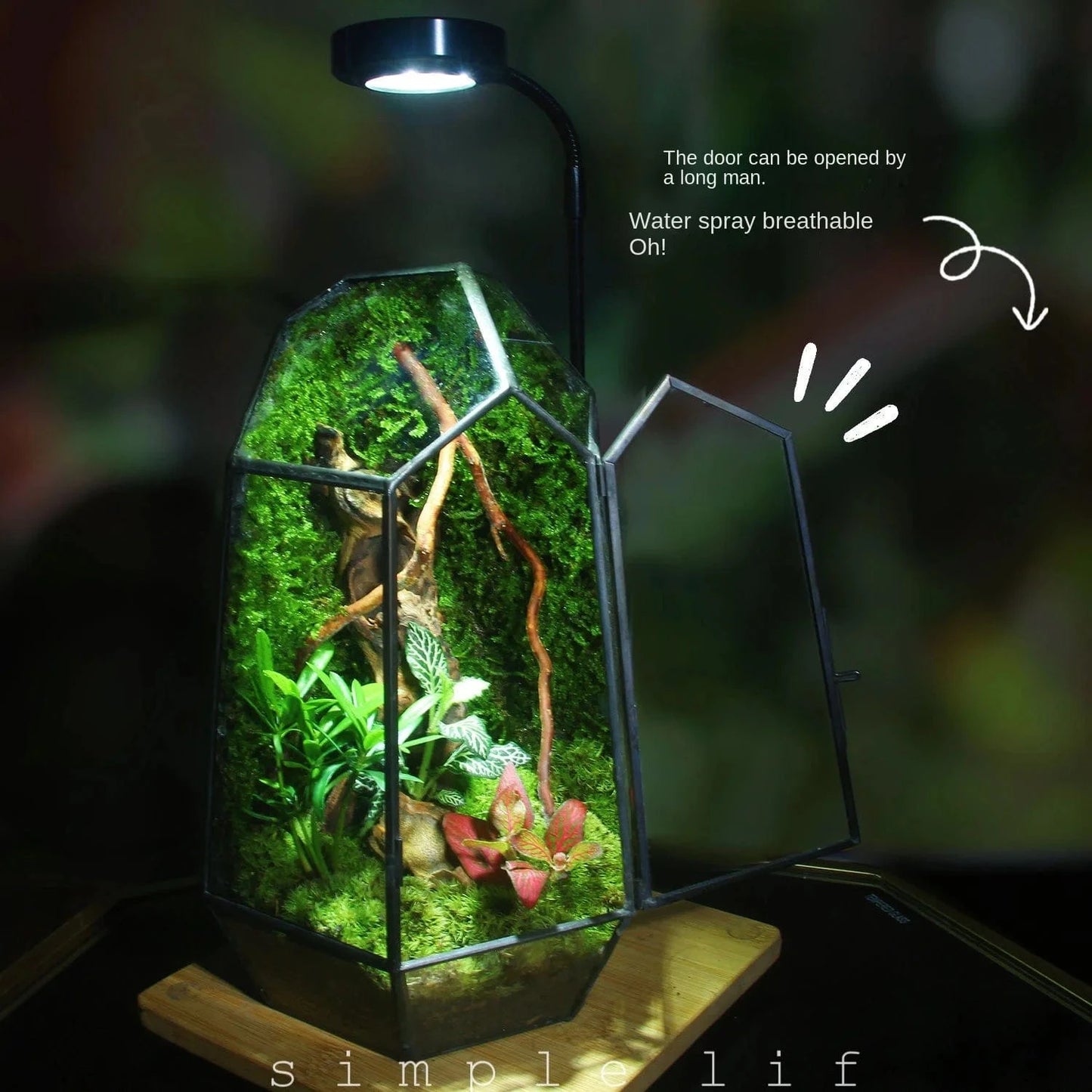 A Micro Landscape Planter Moss Rainforest Tank Geometric Glass Flower Room Irregular Ecological Vase Succulent Water Plant Vase