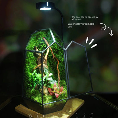 A Micro Landscape Planter Moss Rainforest Tank Geometric Glass Flower Room Irregular Ecological Vase Succulent Water Plant Vase