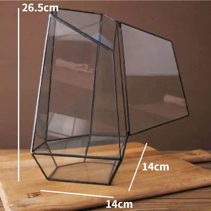 C Micro Landscape Planter Moss Rainforest Tank Geometric Glass Flower Room Irregular Ecological Vase Succulent Water Plant Vase