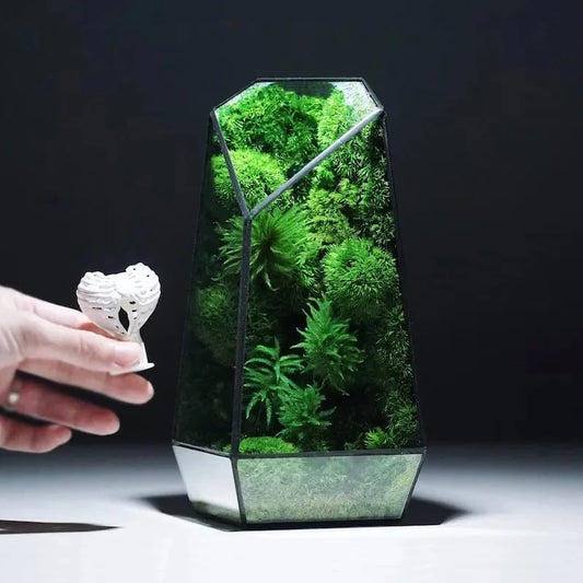 D Micro Landscape Planter Moss Rainforest Tank Geometric Glass Flower Room Irregular Ecological Vase Succulent Water Plant Vase