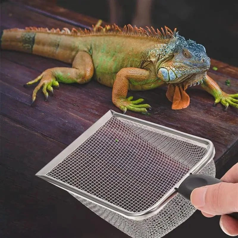 Pelle Filtrante Reptiles | Acier Inox pour Terrarium