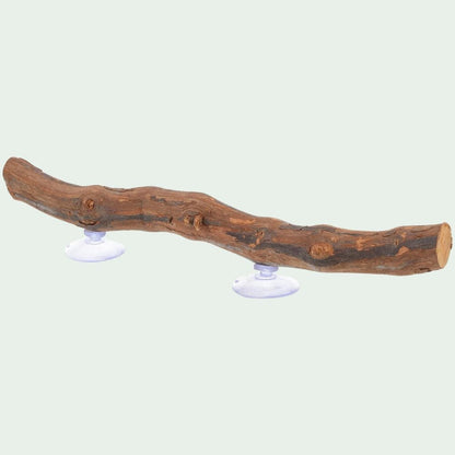 Perchoir d’Escalade en Bois | Pour Reptile, avec Ventouse