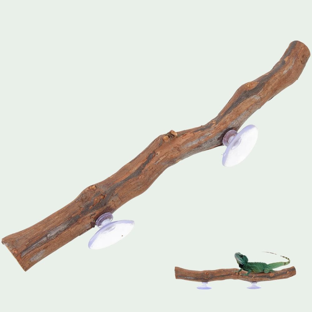 Perchoir d’Escalade en Bois | Pour Reptile, avec Ventouse