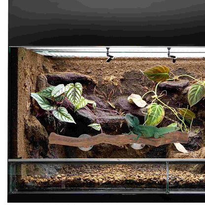 Perchoir d’Escalade en Bois | Pour Reptile, avec Ventouse