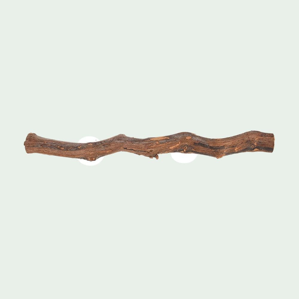 Perchoir d’Escalade en Bois | Pour Reptile, avec Ventouse