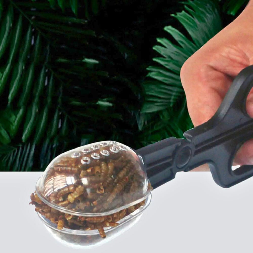 Pince Attrape-Insectes | Capture, Alimentation, Observation