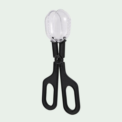 Pince Attrape-Insectes | Capture, Alimentation, Observation