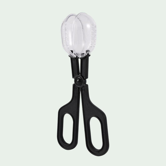 Pince Attrape-Insectes | Capture, Alimentation, Observation