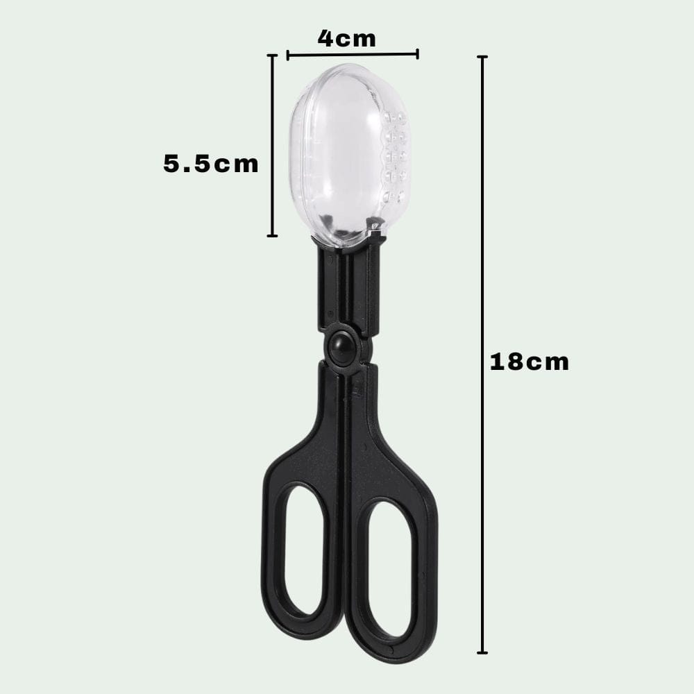 Pince Attrape-Insectes | Capture, Alimentation, Observation