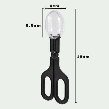 Pince Attrape-Insectes | Capture, Alimentation, Observation