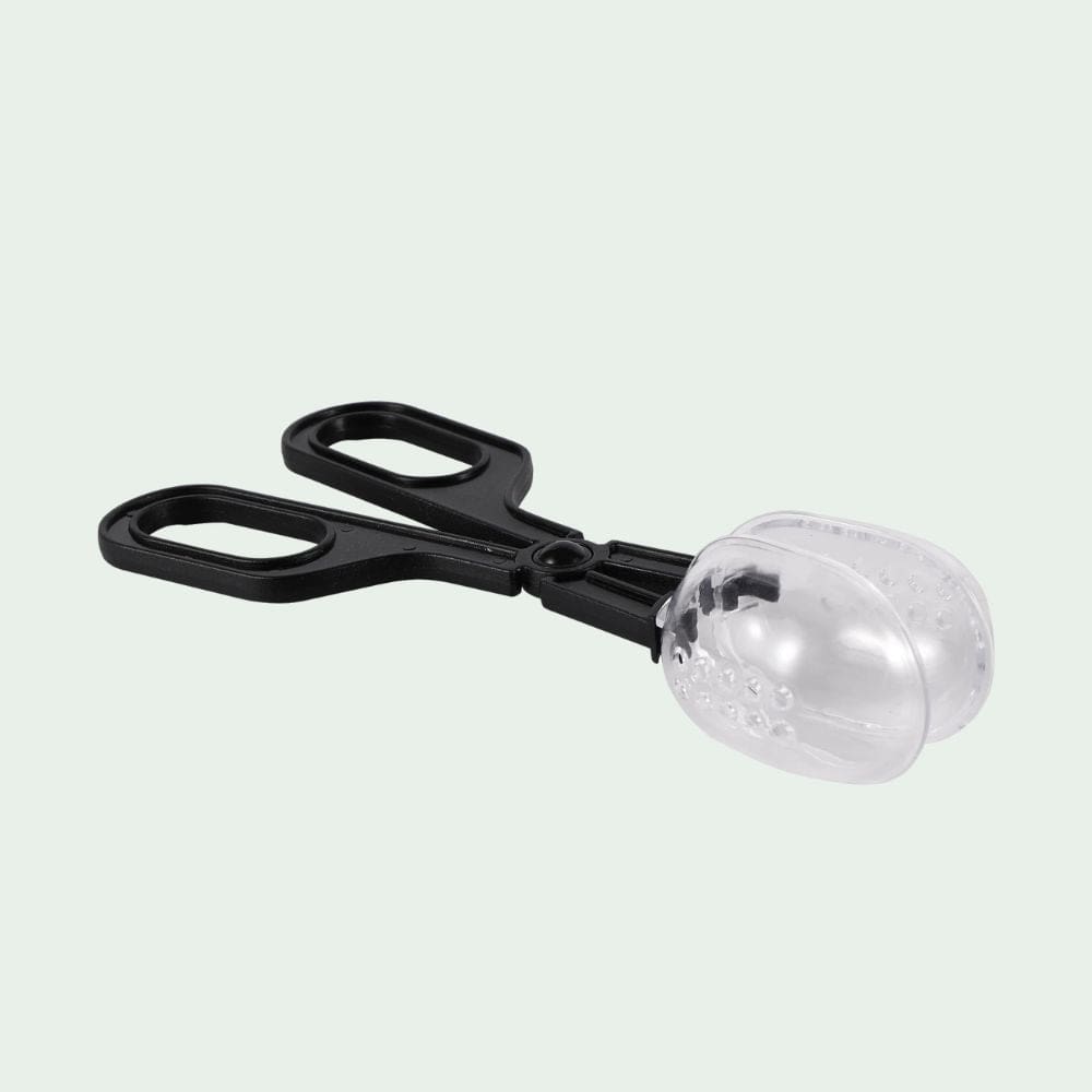 Pince Attrape-Insectes | Capture, Alimentation, Observation