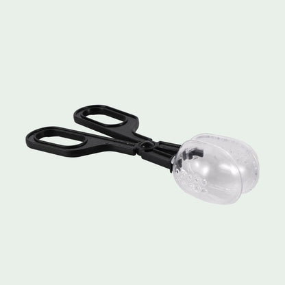 Pince Attrape-Insectes | Capture, Alimentation, Observation
