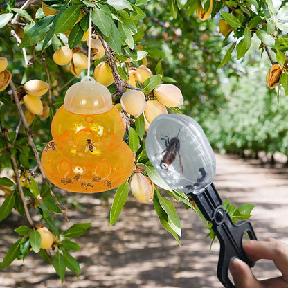 Pince Attrape-Insectes | Capture, Alimentation, Observation