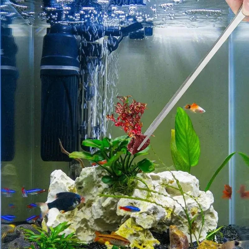 Set 2 Pinces 27 cm Inox | Anti-Morsure Alimentation Reptile