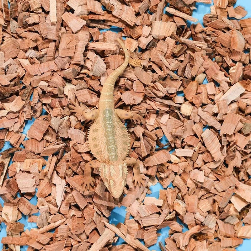 100g Substrat pour reptiles, copeaux de bois de pommier, coquille naturelle, literie, matériaux hydratants et désodorisants pour animaux de compagnie rampants de tortue