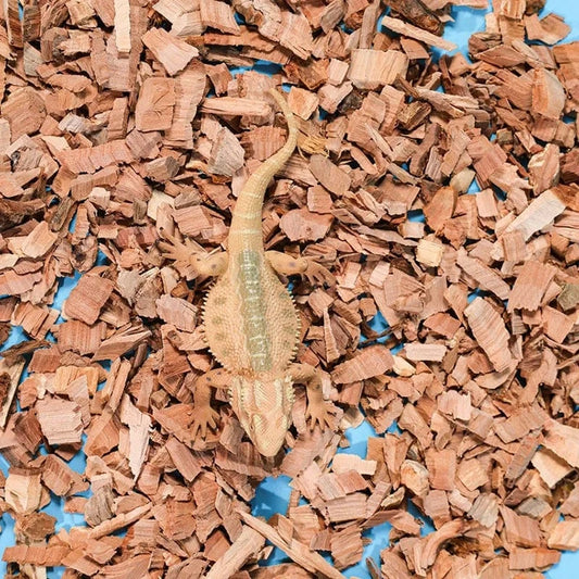 100g Substrat pour reptiles, copeaux de bois de pommier, coquille naturelle, literie, matériaux hydratants et désodorisants pour animaux de compagnie rampants de tortue