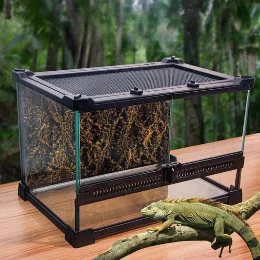 Terrarium 30×20×20 verre trempé | Pour gecko et lézards