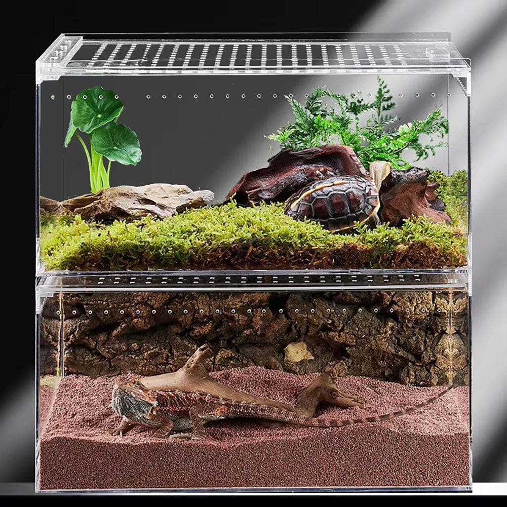 Terrarium Acrylique | Habitat Reptiles, Insectes, Arachnides