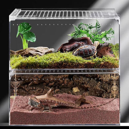 Terrarium Acrylique | Habitat Reptiles, Insectes, Arachnides