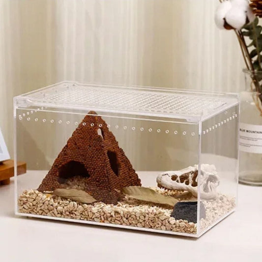 Terrarium Acrylique | Habitat Reptiles, Insectes, Arachnides