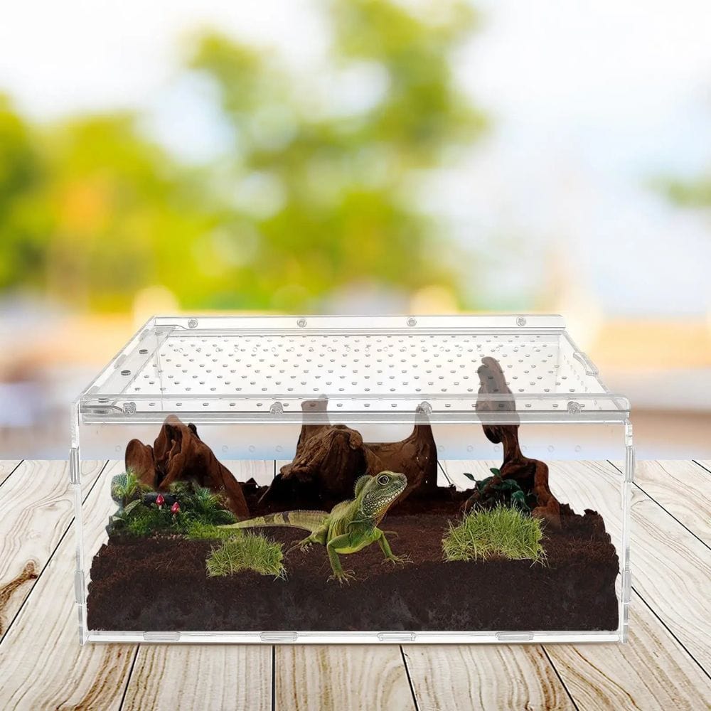 Terrarium Acrylique | Habitat Reptiles, Insectes, Arachnides