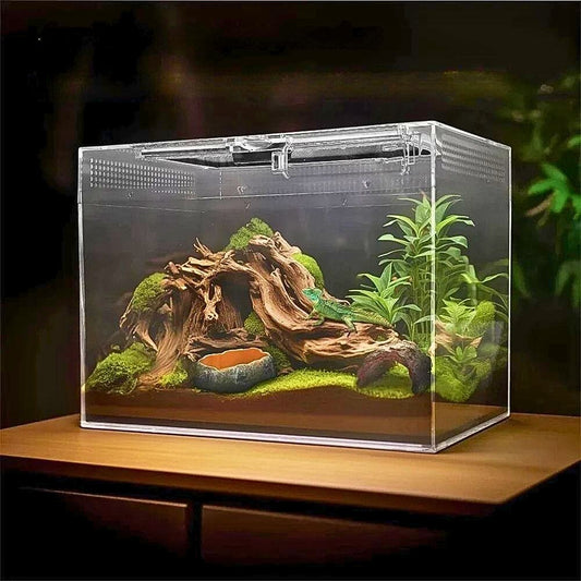 Terrarium Acrylique | Haute Clarté et Empilable, 3 Tailles