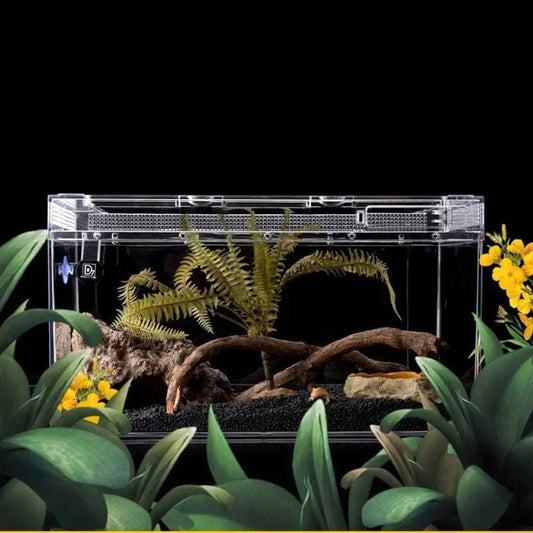 Terrarium Acrylique | Haute Clarté et Empilable, 3 Tailles