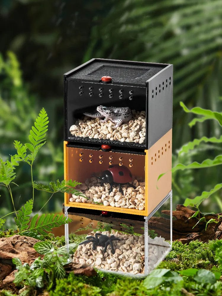 Terrarium | Boîte d'Élevage pour Arachnides et Insectes