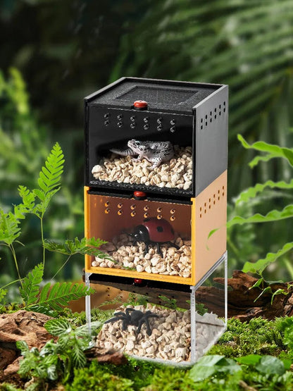 Terrarium | Boîte d'Élevage pour Arachnides et Insectes