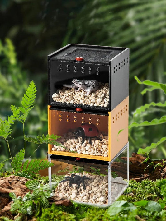 Terrarium | Boîte d'Élevage pour Arachnides et Insectes