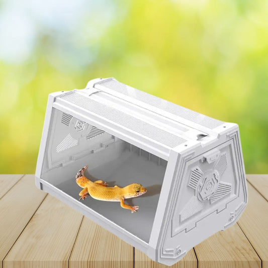Terrarium Compact | Blanc pour Gecko, Scorpion et Insecte