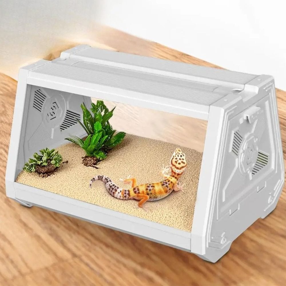 Terrarium Compact | Blanc pour Gecko, Scorpion et Insecte