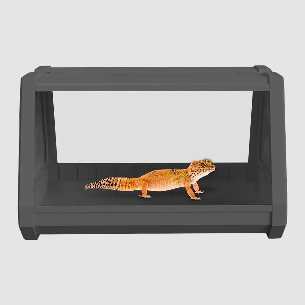 Terrarium Compact | Gris pour Gecko, Scorpion et Insecte