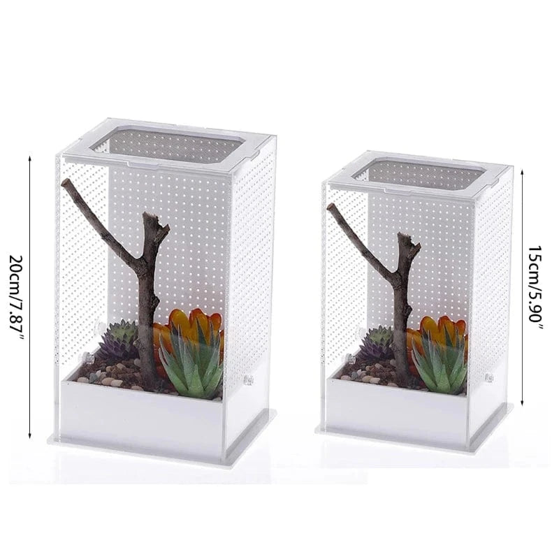 Terrarium Élevage Vertical | Insecte Arachnide Petit Reptile