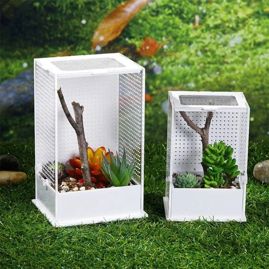 Terrarium Élevage Vertical | Insecte Arachnide Petit Reptile